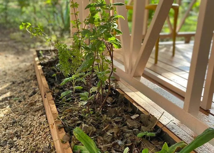 Holiday home Tiny House Papaya Near Tamarindo